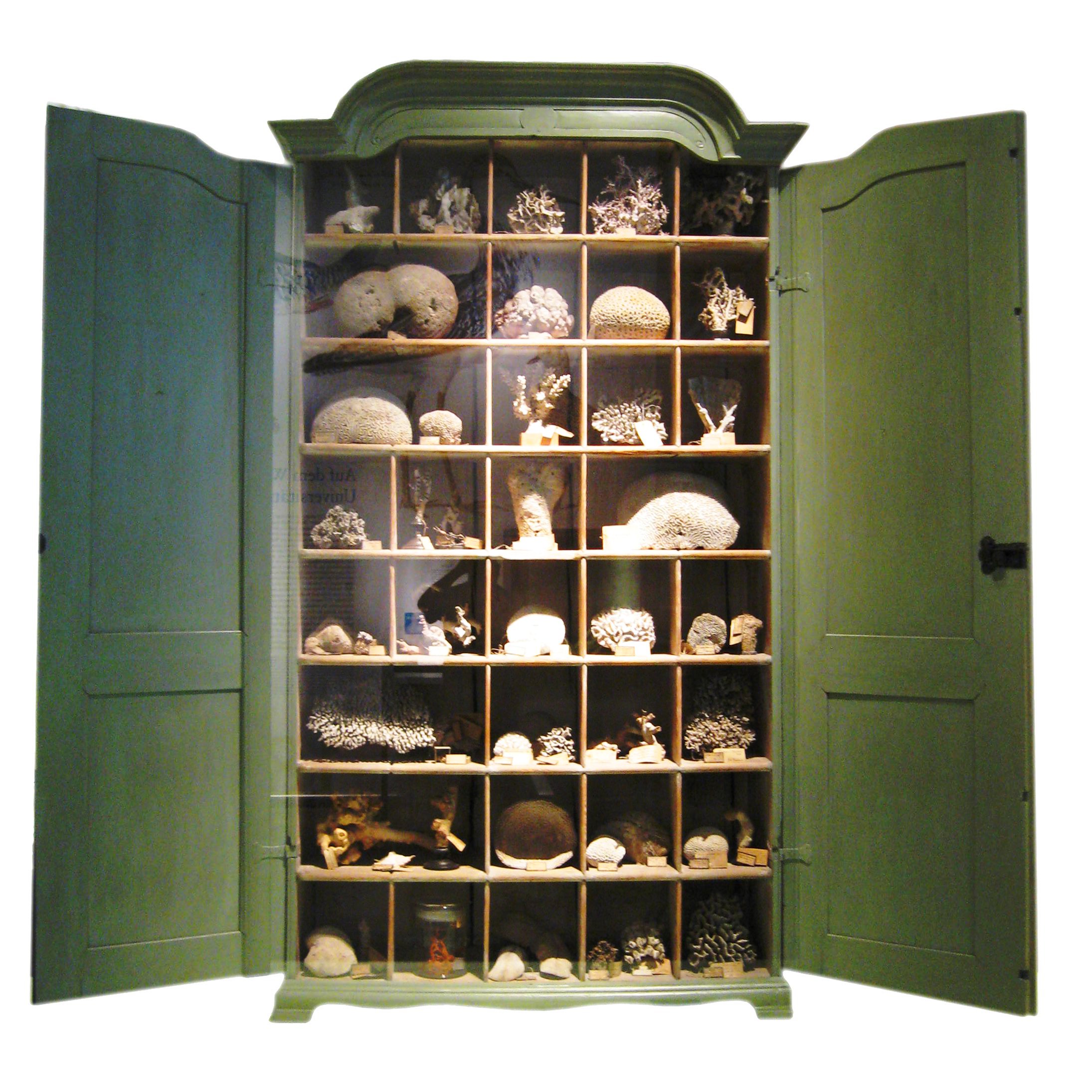 collection cabinet
